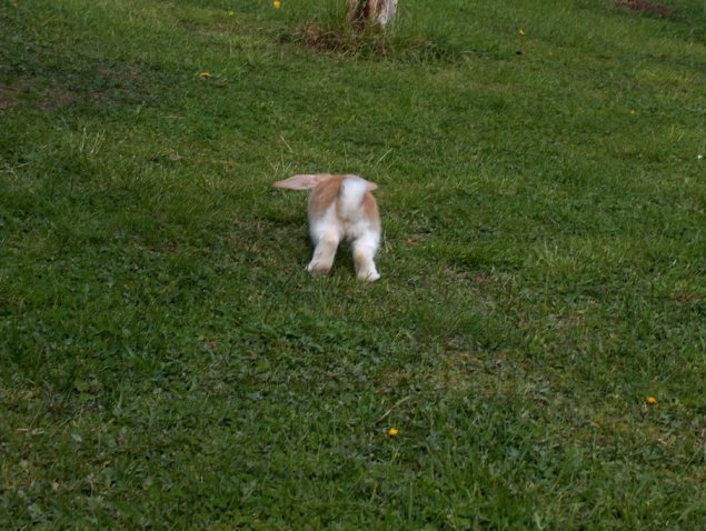 Pompe.